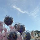 카페투제니 맞은편 | 20주년 홍콩 디즈니랜드 방문기, 색다른 홍콩 기념품 사러 센트럴 나들이