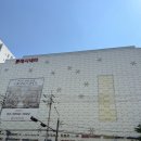 늘좋은약국 | 가양역 대형약국 롯데시네마 3층 갤러리약국 다녀온 후기 (탁센레이디 1,500원?!)