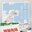 🌸하따니님, 제천 청풍명월 벚꽃축제 공연 안내🌸 이미지