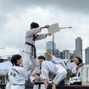 강철태권도 이미지