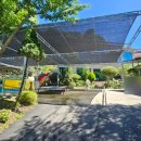 들물 관광농원 이미지