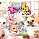 헬로우펫 이미지