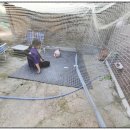 한숲농장 이미지