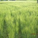 인환농장 이미지