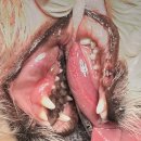 사직동물의료센터 이미지