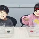 지니어스과학 이미지