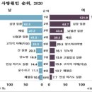 쌍디에 이미지