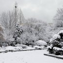 자매공원 이미지