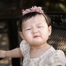 파티앤돌