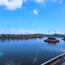 돌고래 좌대낚시터 이미지