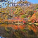 장성 내장산 백양사 단풍, 절정 아직 안지났어요. 당분간 계속 애기단풍 볼수있을 예정.(11/19 기준)