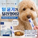 코리아피부관리 | 메가덤 강아지 오메가영양제 버박코리아 급여 후기, 털 윤기와 피부건강관리