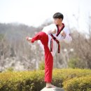 현대태권도장 이미지