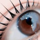 둔산중로-21 이미지