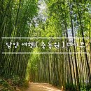 죽이야기 죽림점 | 담양 여행 필수코스 [ 죽녹원 ] 데이트 . 포토존 feat. 죽녹원 정문 주차장 정보