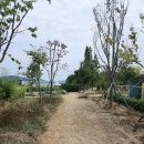 의료법인 운하의료재단 이미지