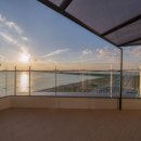 브라운도트거북섬점 이미지