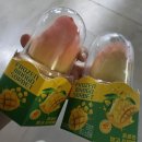 민세초등학교 | 내게 쏟아진 바다 그리고 여름