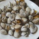 목포홍탁 이미지