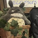 일본 후쿠오카 자유 패션 여행 후기 / 3일차(1)