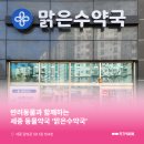맑은수약국 네이버블로그