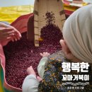 행복한 꼬마 거북이 네이버블로그