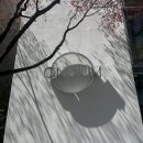 안생약국 | 서울 경복궁 미쉐린 1스타 한식 다이닝 온지음 레스토랑 런치 전통주 페어링