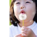 새솔언어，심리치료센터