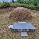 효라이프