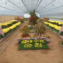 오천동 이미지