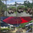 뜰안애 | [용인 한정식 맛집] 반려견과 함께 뜰안애 방문 – 찰솥밥B 내돈내산 후기