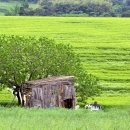 지방 소멸 대응을 위한 스마트 농업과 디지털 공유지 모델 연구