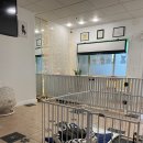 스토리펫(Story pet) 이미지