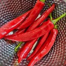 큰마루감자탕 부대찌개 | 칠갑마루 청양산고추 사골 부대찌개 황금레시피 후기