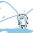 햅비