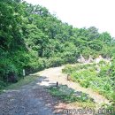 초성4리 마을회관 이미지