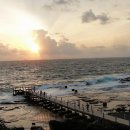 스위트 피피 이미지