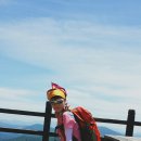 어린왕자게스트하우스 이미지