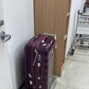 호텔더원 | 오사카여행 우당탕탕 1일차 (간사이공항/더원파이브호텔/도톤보리)