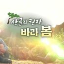 지원(G1)소프트 이미지