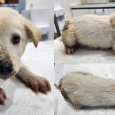 조산1길 이미지