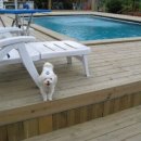 그랑샤리오 이미지