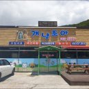 개냥조아