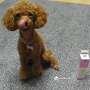 마더스캣