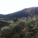 일월농장 이미지