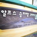 알프스PC