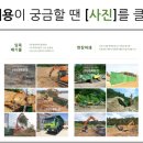 주식회사 대륙환경