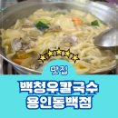 동백자동차 | 동백 칼국수 백청우칼국수 용인동백점 주차 용인 포장 가성비 후기