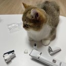고양이발 | 우다다 4in1 멀티클리퍼 애견 바리깡 후기｜강아지·고양이 발 잔털 정리 저소음 무선 클리퍼 추천