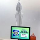 로또초장횟집 | 불당동 횟집 팔팔횟집 후기 (우럭회 맛있는 불당동 가성비횟집)